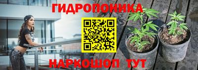 a pvp Заводоуковск