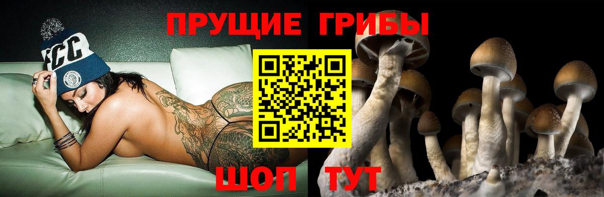 Междуреченск  Галлюциногенные грибы прущие грибы  Вход с VPN 